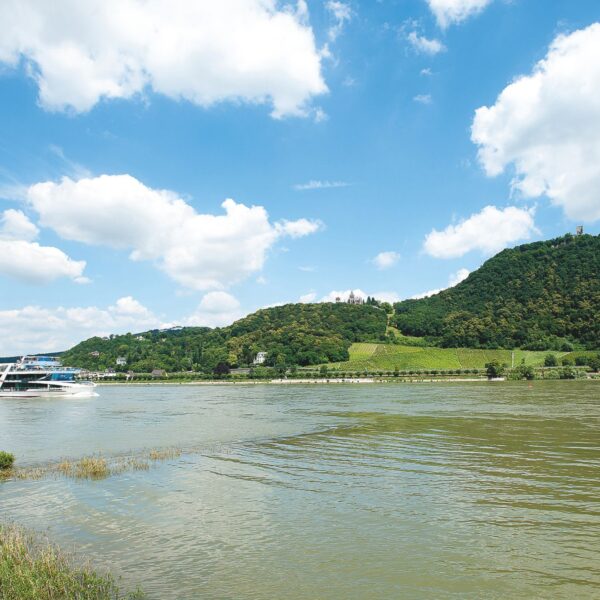 The Rhine in front of smaller rocks in the Siebengebirge, at the back left the ship MS RheinFantasie.