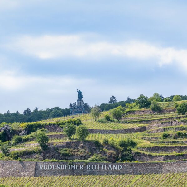 View of the Niederwalddenkmal