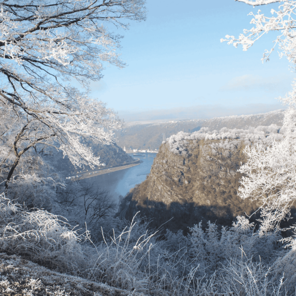 View of the snow-covered Loreley rock