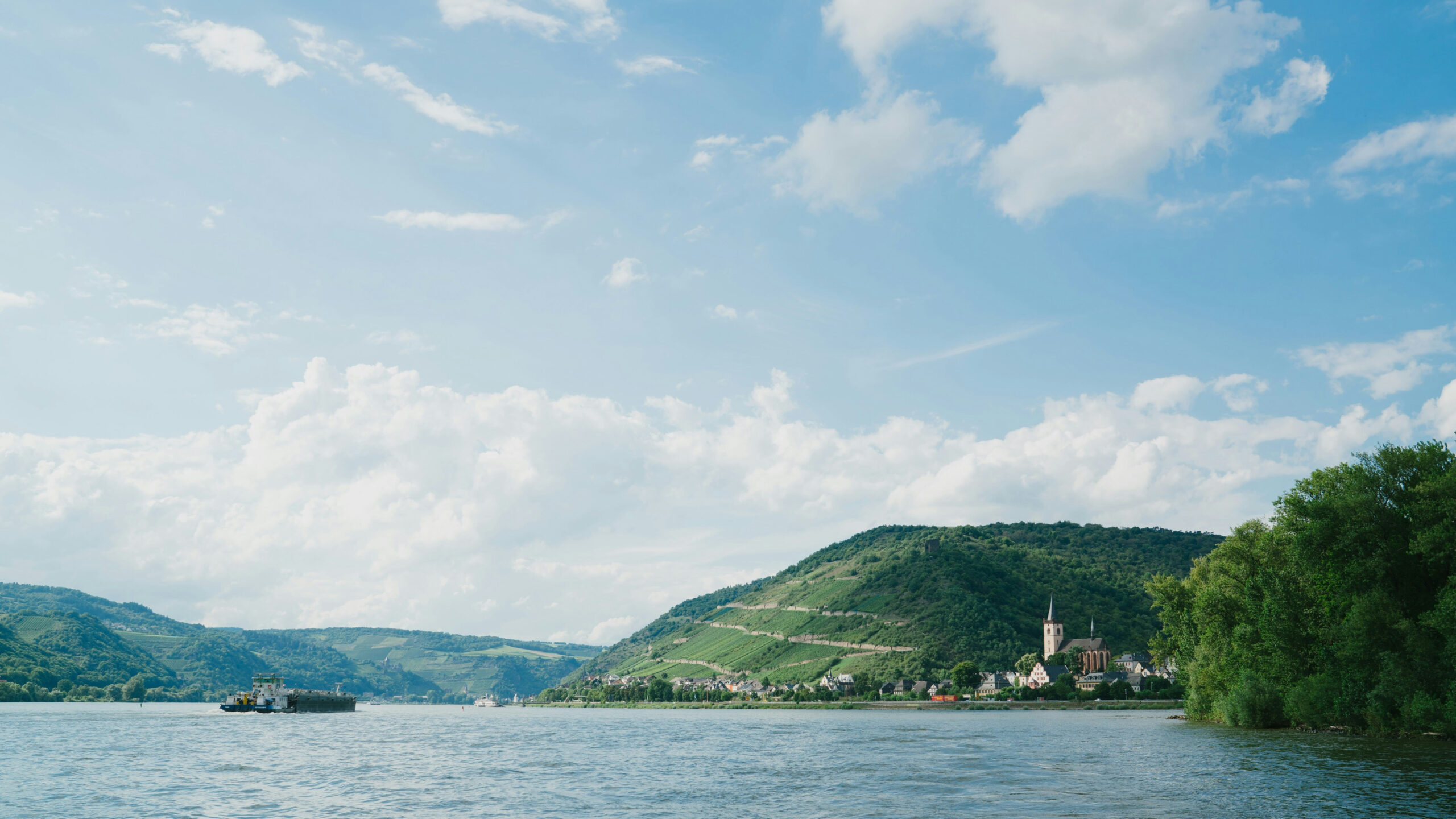 Blick auf den Mittelrhein