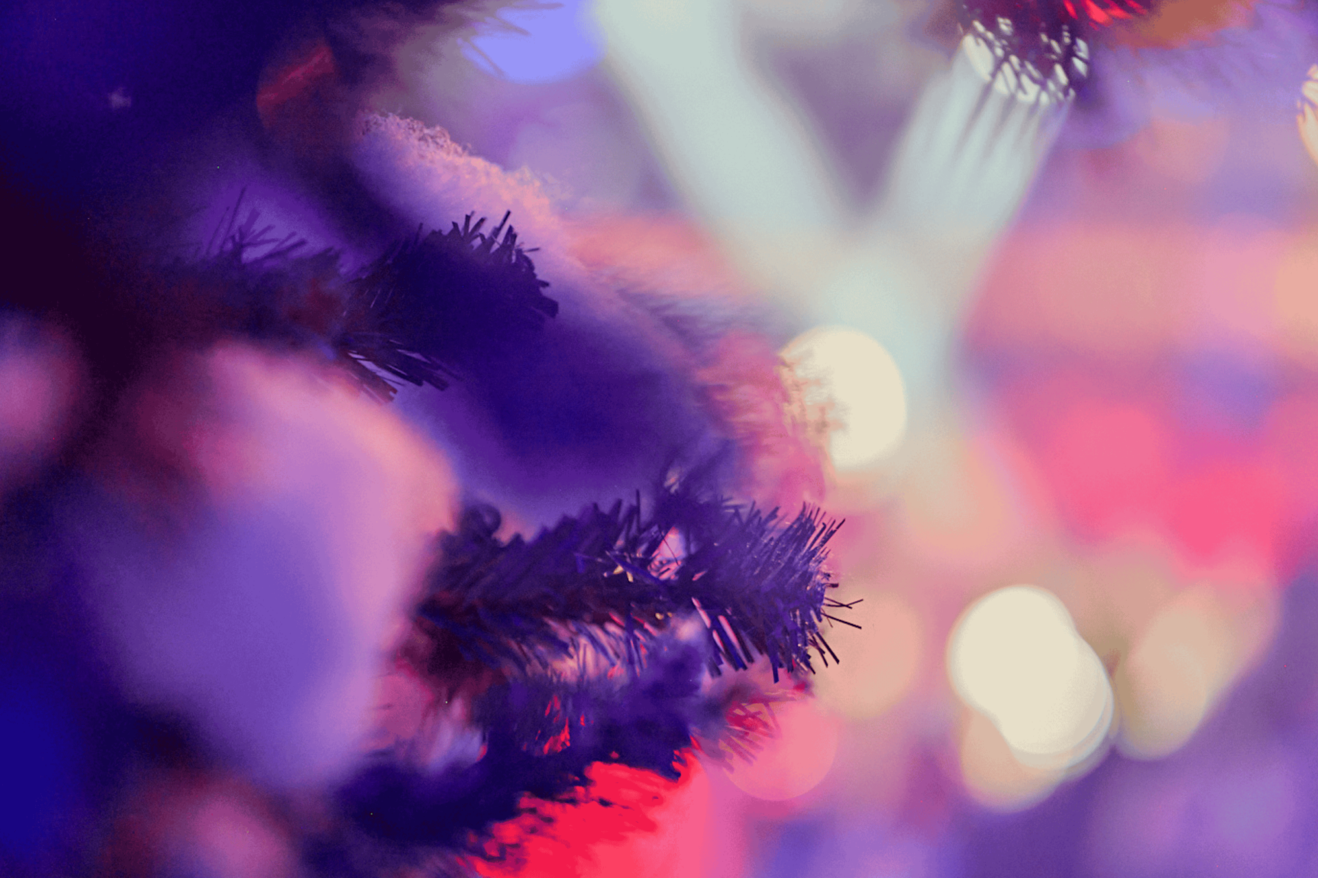 Spotlights on a blurred background, fir tree with artificial snow